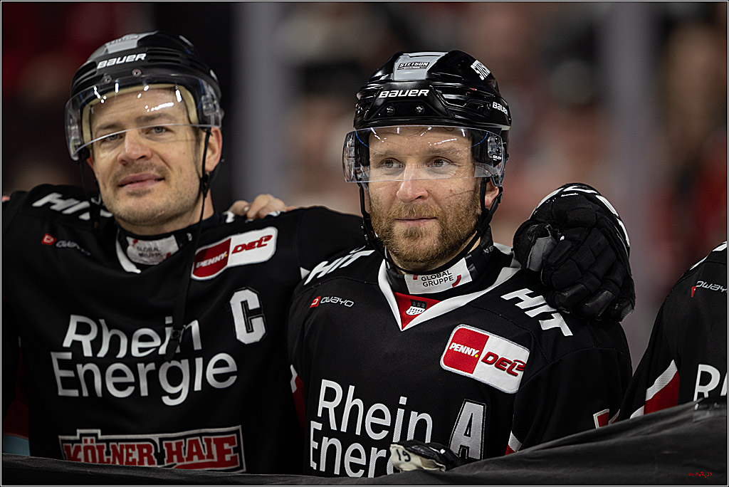 PENNY DEL 1; Kölner Haie - Düsseldorfer EG ; Köln, 16.02.2025